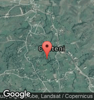Google Static Map