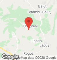 Google Static Map