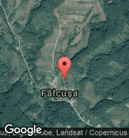 Google Static Map