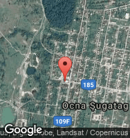 Google Static Map