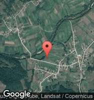 Google Static Map