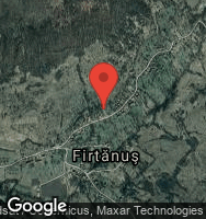 Google Static Map