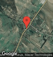 Google Static Map