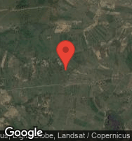 Google Static Map