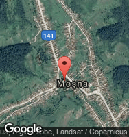 Google Static Map
