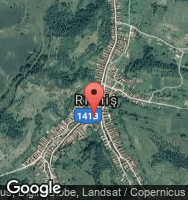 Google Static Map