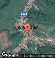 Google Static Map