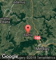 Google Static Map