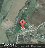 Google Static Map