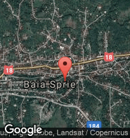 Google Static Map