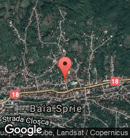 Google Static Map
