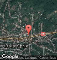 Google Static Map