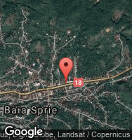 Google Static Map