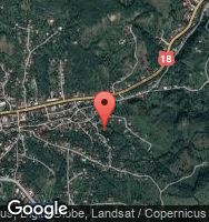 Google Static Map