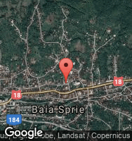 Google Static Map