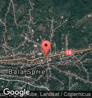 Google Static Map