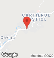 Google Static Map