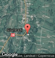 Google Static Map