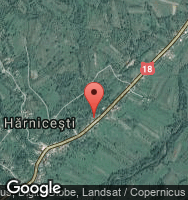 Google Static Map