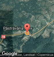 Google Static Map
