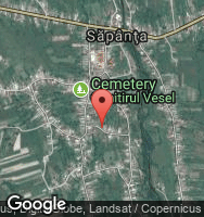Google Static Map