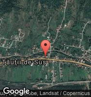 Google Static Map