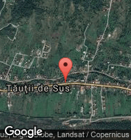 Google Static Map