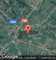 Google Static Map