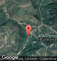 Google Static Map