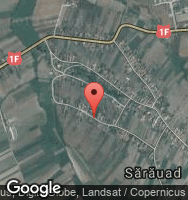Google Static Map