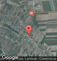 Google Static Map