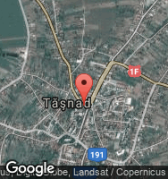 Google Static Map