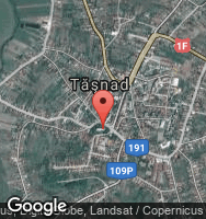 Google Static Map