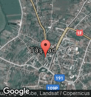 Google Static Map