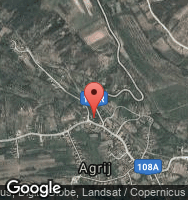 Google Static Map