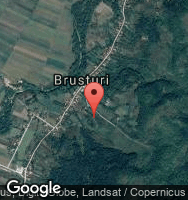 Google Static Map