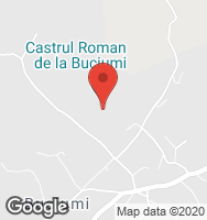 Google Static Map