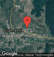 Google Static Map