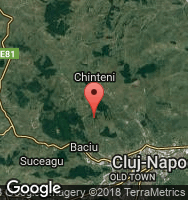 Google Static Map