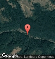 Google Static Map