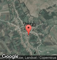 Google Static Map