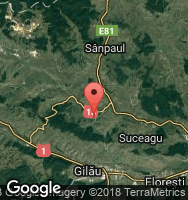 Google Static Map