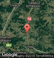 Google Static Map
