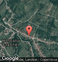 Google Static Map