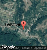 Google Static Map
