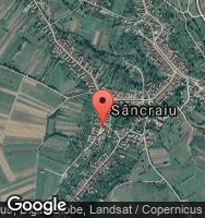 Google Static Map