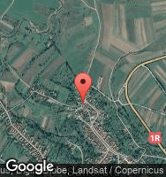 Google Static Map