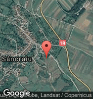 Google Static Map
