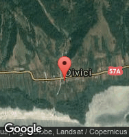 Google Static Map
