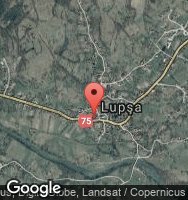 Google Static Map